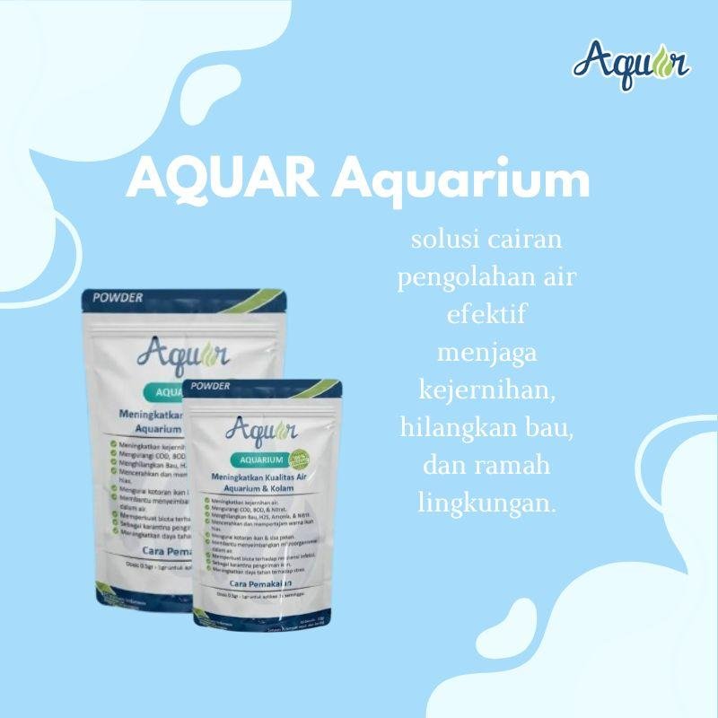 Solusi Penghilang Bau Aquarium