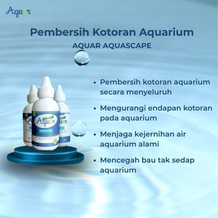 Bakteri Pembersih Kotoran Aquarium