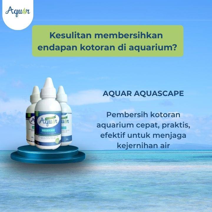 Bakteri Untuk Pembersih Aquarium