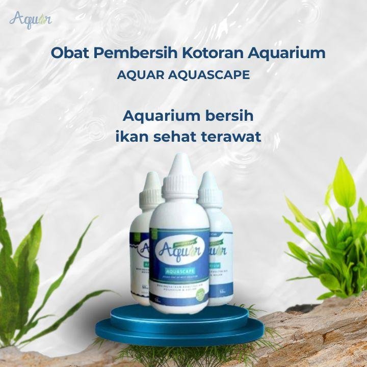 Obat Pembersih Aquarium