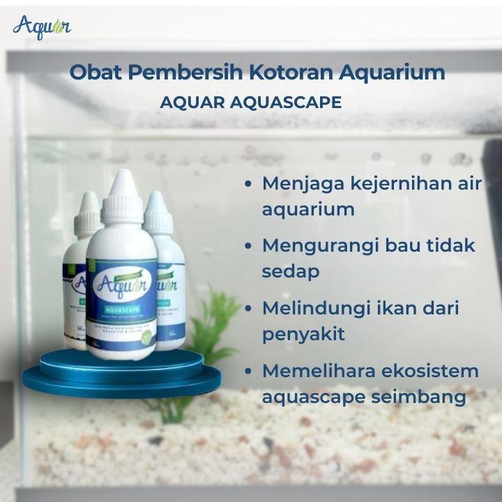 Obat Pembersih Aquarium Kotor