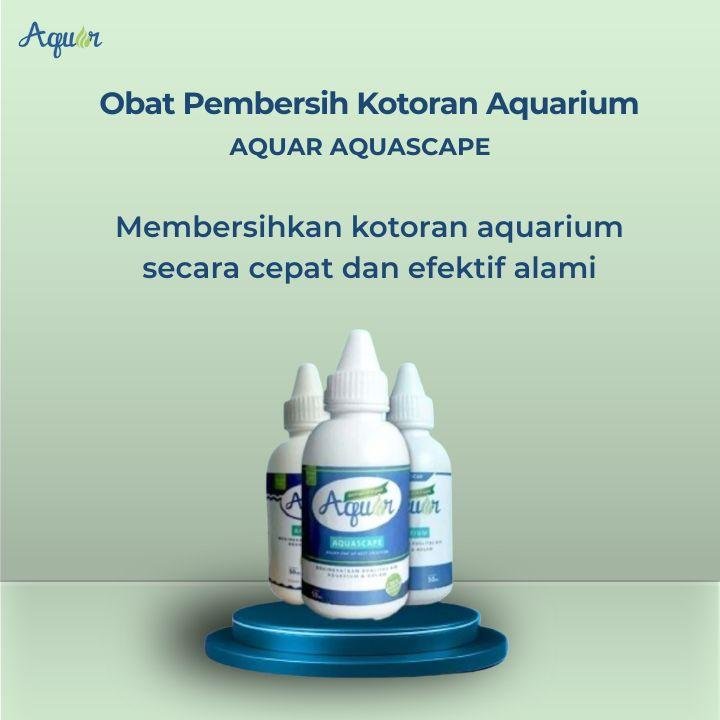 Obat Pembersih Kotoran Aquarium