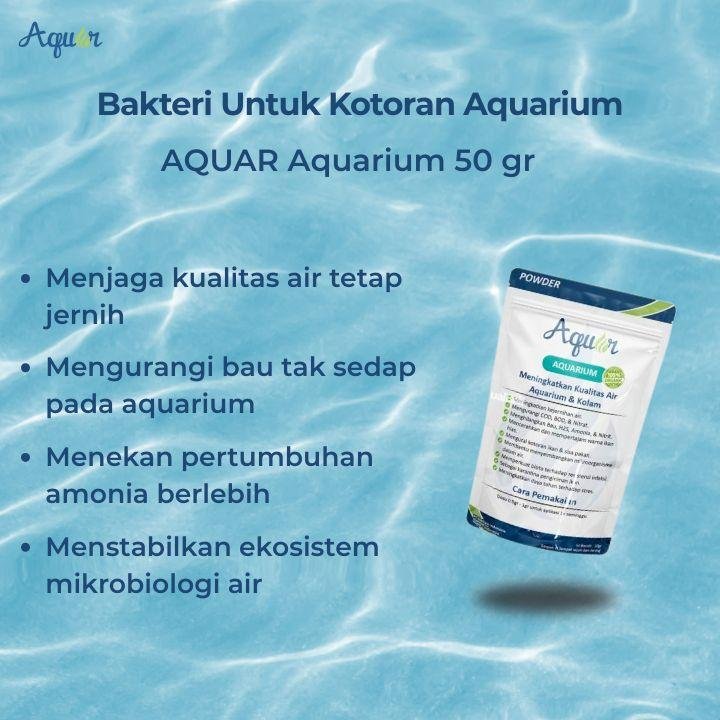 Bakteri Pembersih Aquarium