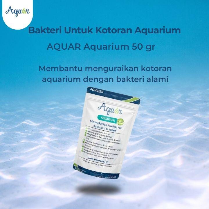 Bakteri Untuk Kotoran Aquarium