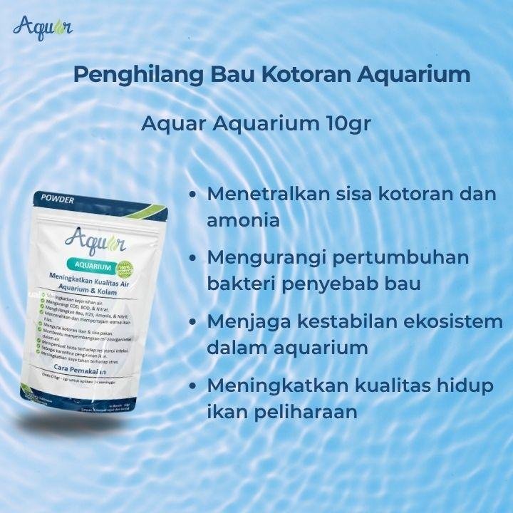 Penghilang Bau Aquarium