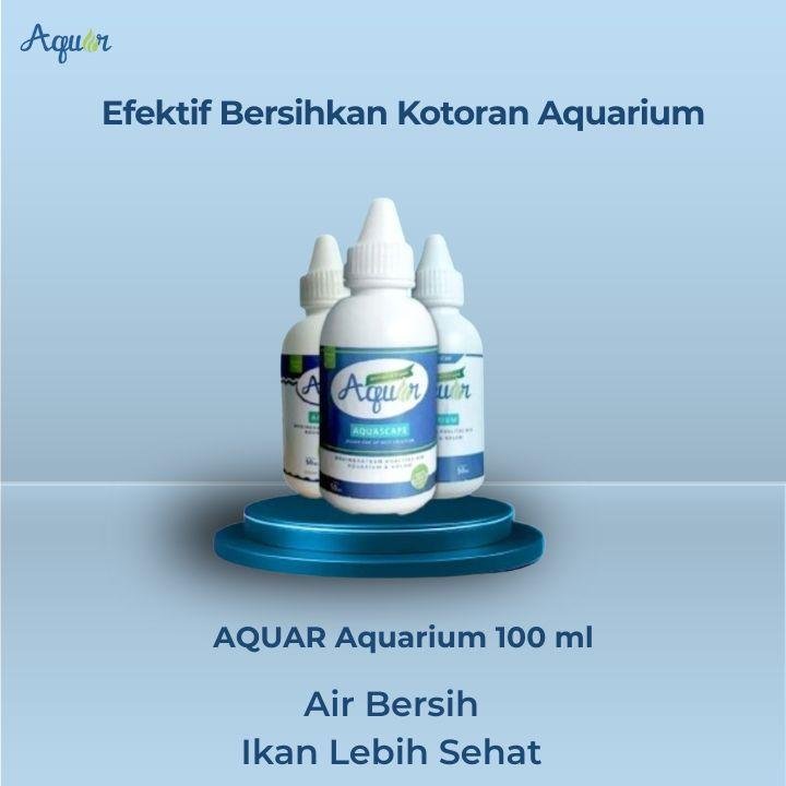 Efektif Untuk Bersihkan Kotoran Aquarium
