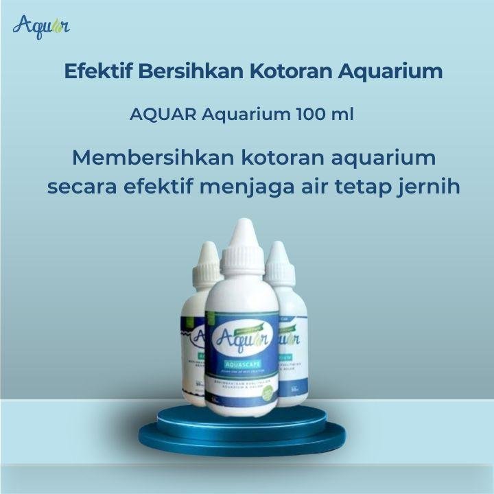 Efektif Bersihkan Kotoran Aquarium