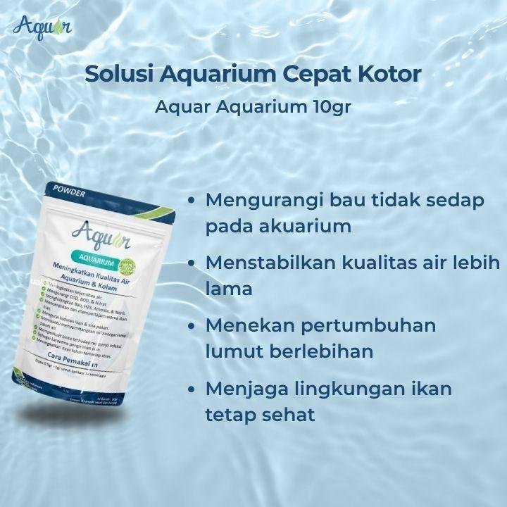 Solusi Membersihkan Aquarium Cepat Kotor