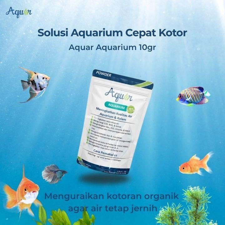 Solusi Untuk Aquarium Cepat Kotor