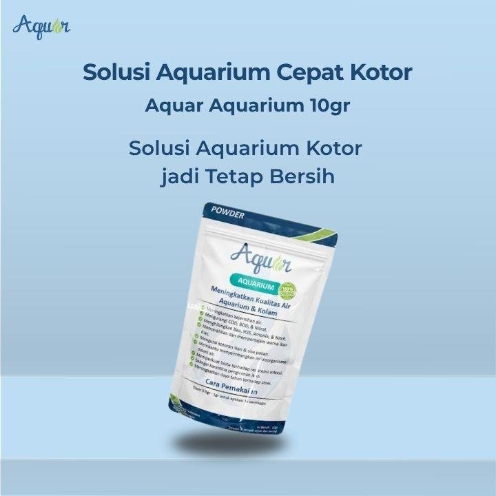 Solusi Aquarium Cepat Kotor