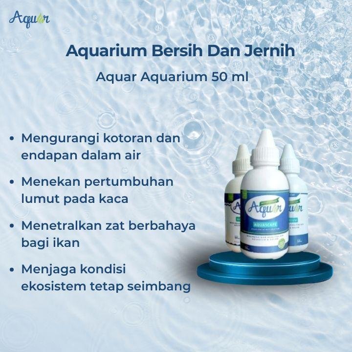 Aquarium Bersih Dan Jernih dengan Mudah