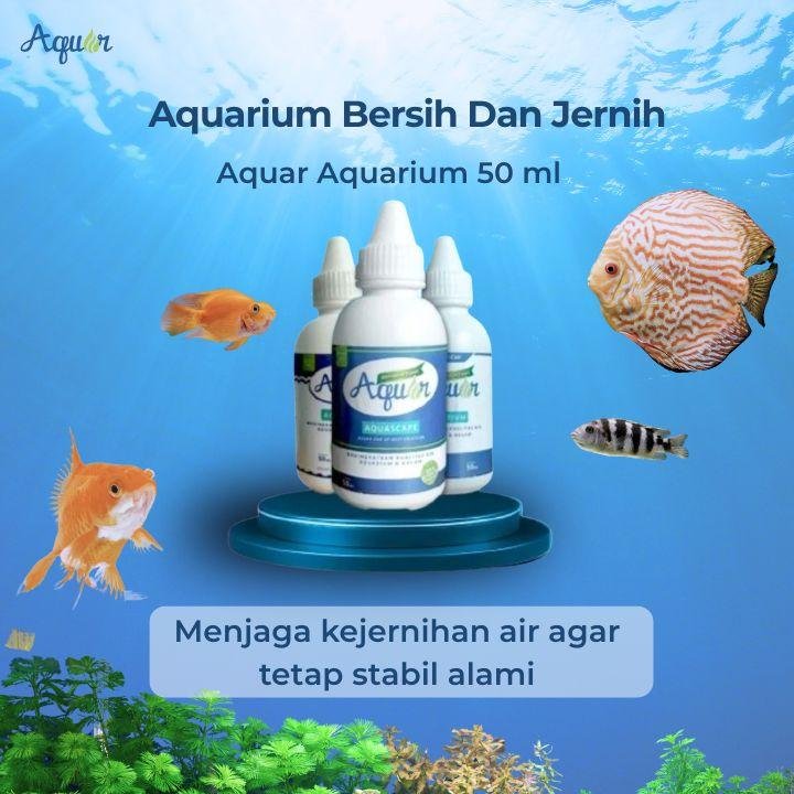 Produk Buat Aquarium Bersih Dan Jernih Mudah