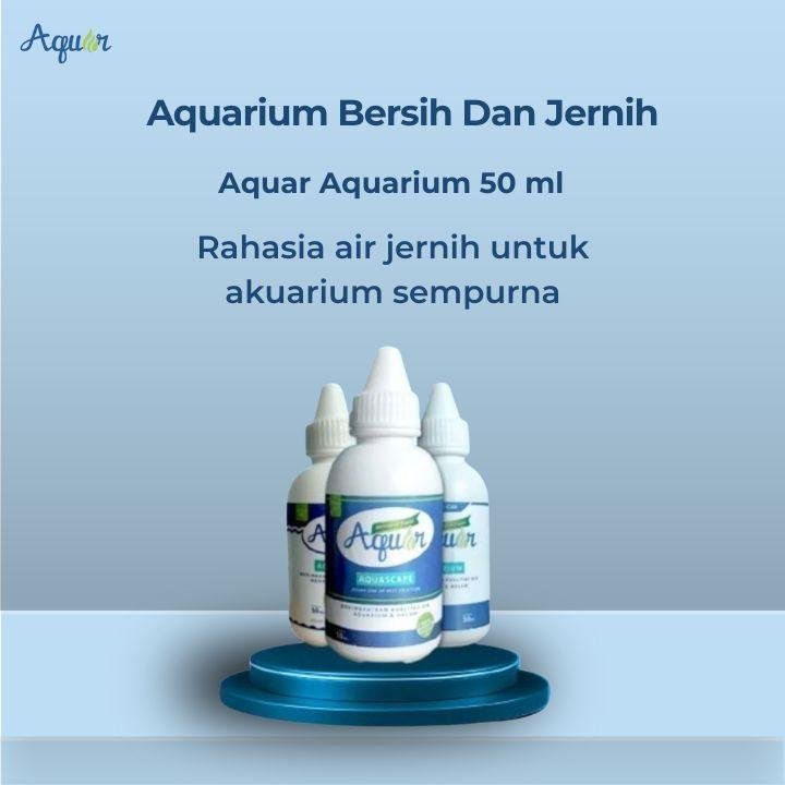 Aquarium Bersih Dan Jernih