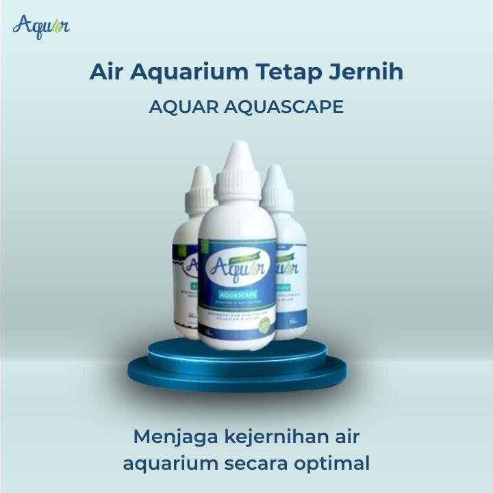 Solusi Air Aquarium Tetap Jernih