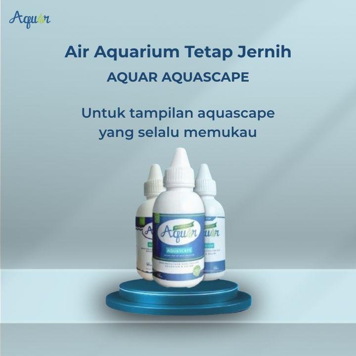 Air Aquarium Tetap Jernih