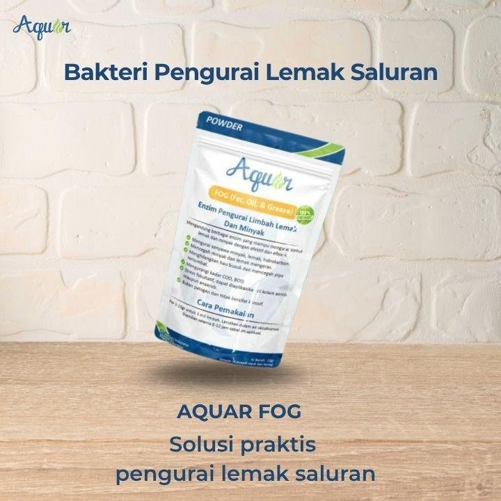 Bakteri Pengurai Saluran