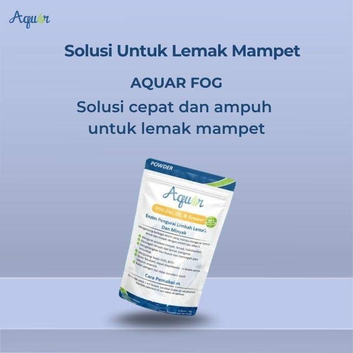 Solusi Untuk Lemak Mampet