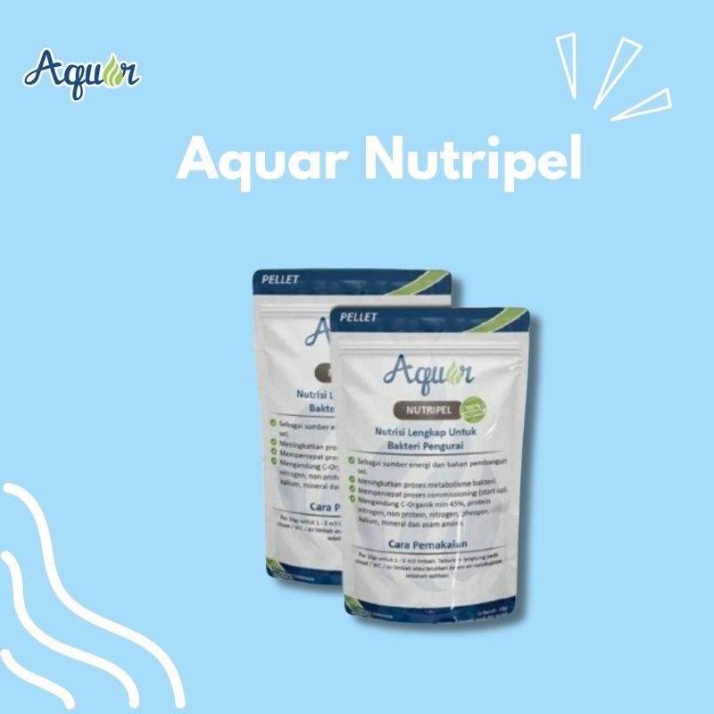 Cairan Nutrisi Tanaman Alami Terbaik