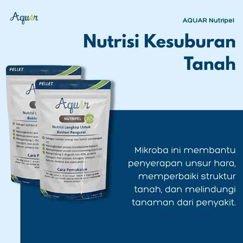 Kesuburan Tanah