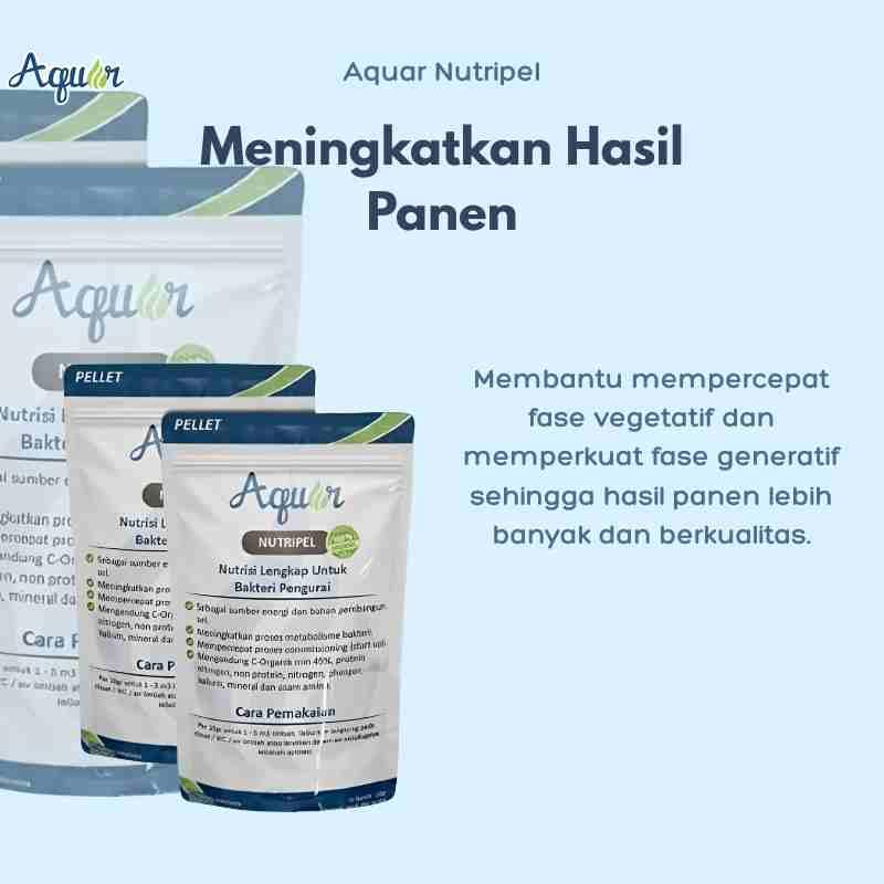 Meningkatkan Hasil Panen