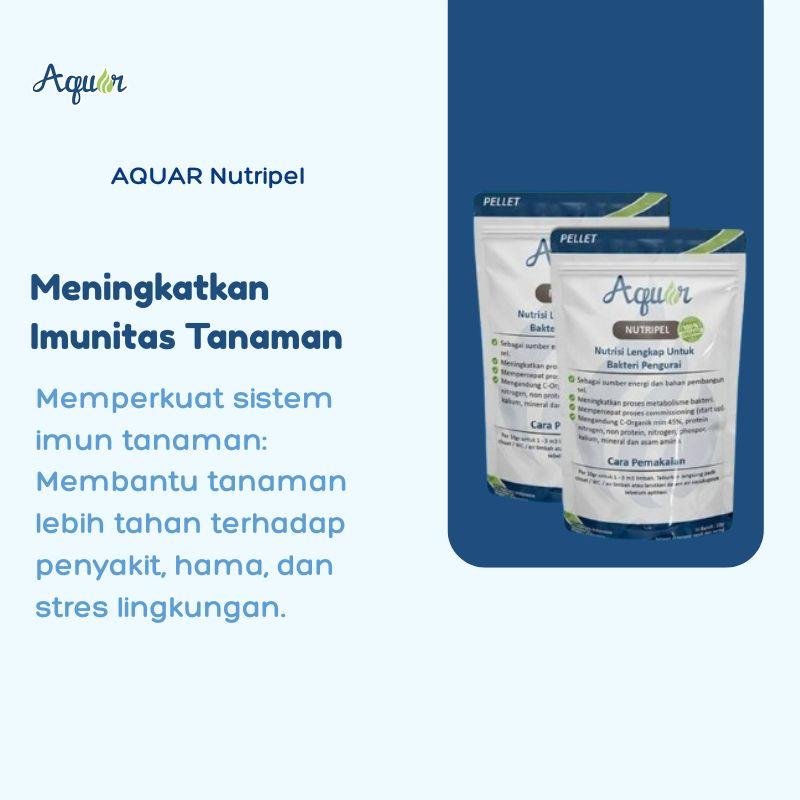 Meningkatkan Imunitas Tanaman