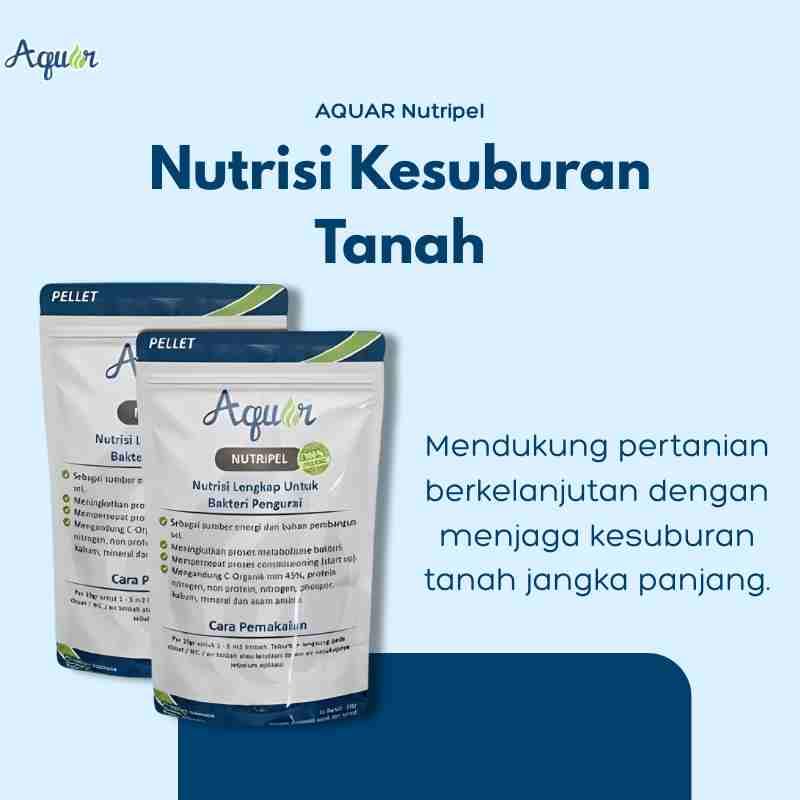 Nutrisi Kesuburan Tanah