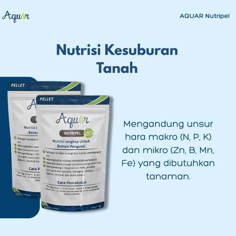 Nutrisi Kesuburan