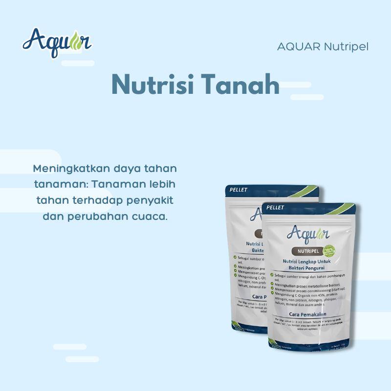 Nutrisi Tanah A