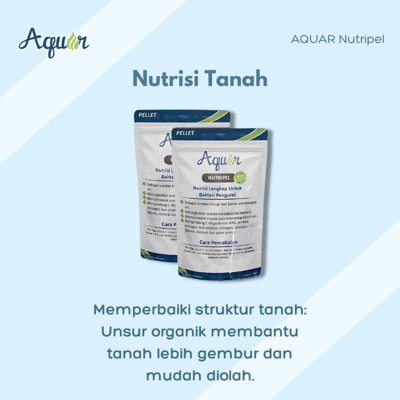 Nutrisi Tanah