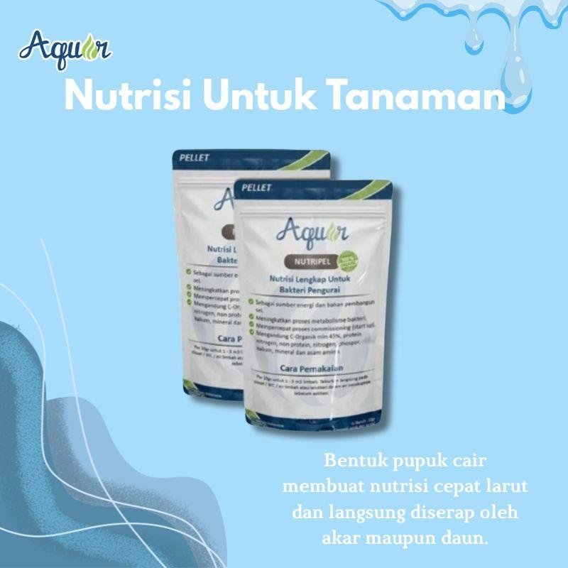 Nutrisi Untuk Tanaman-1