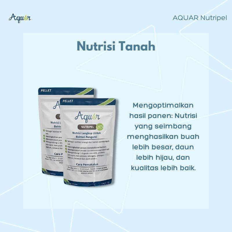 Nutrisi