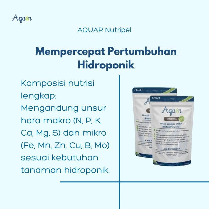 Produk Mempercepat Pertumbuhan Hidroponik