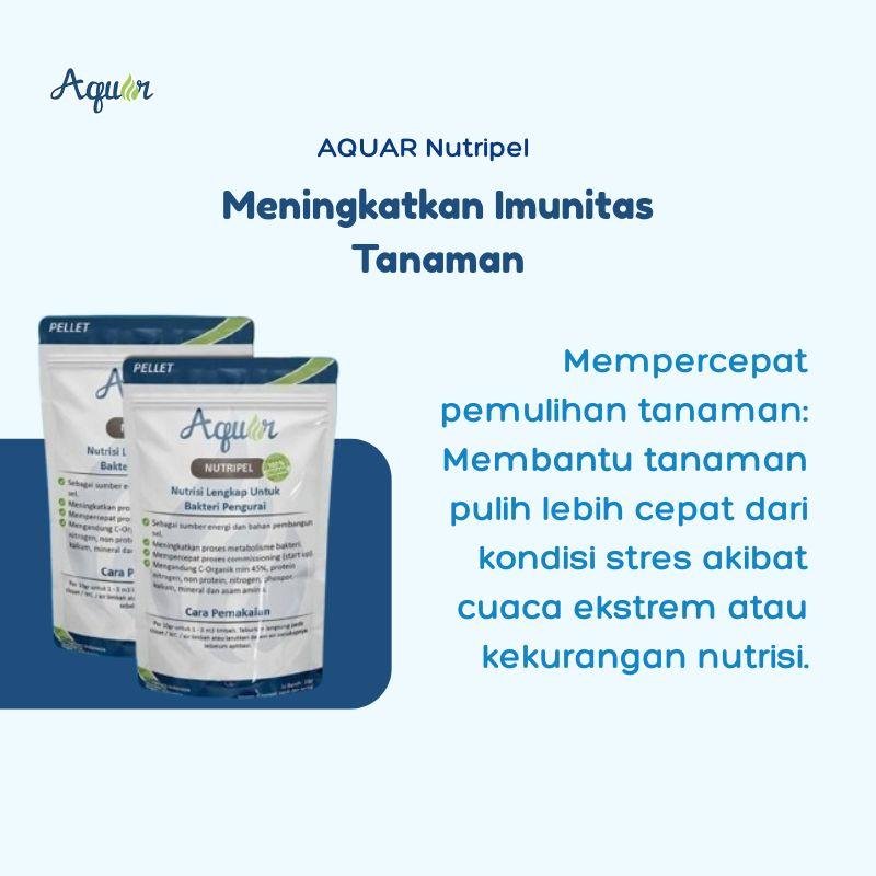Produk Meningkatkan Imunitas Tanaman