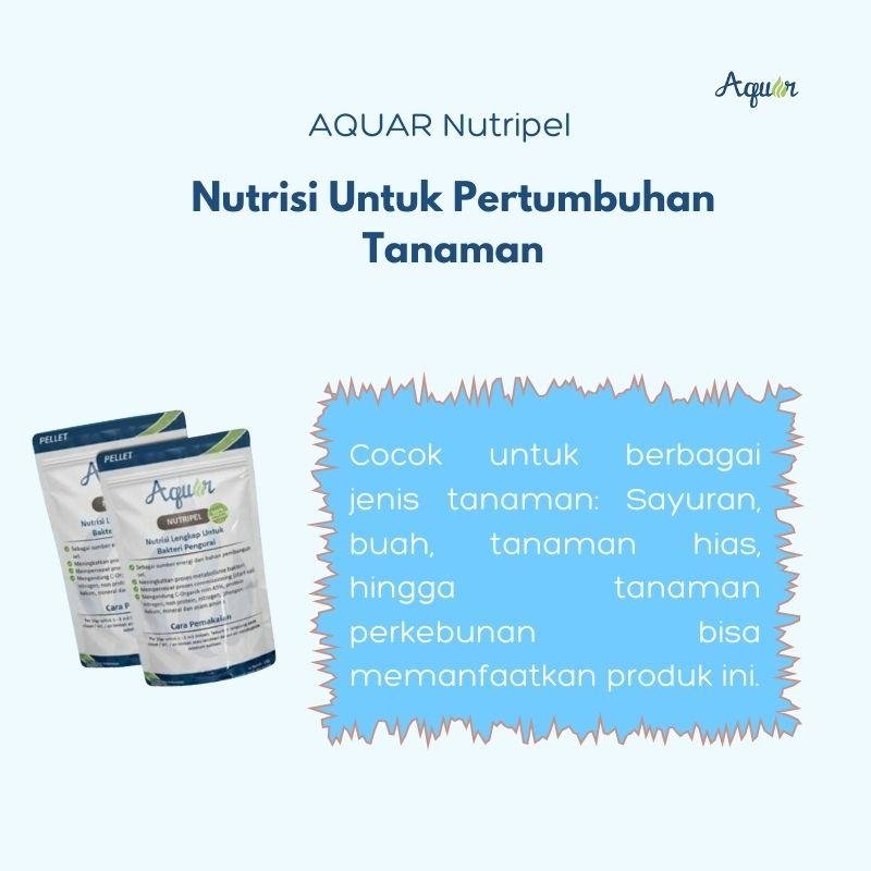 Produk Nutrisi Untuk Pertumbuhan Tanaman