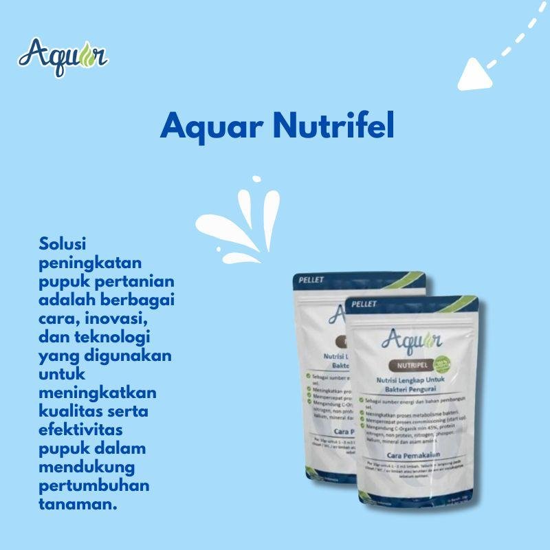 pupuk solusi peningkatan tanaman