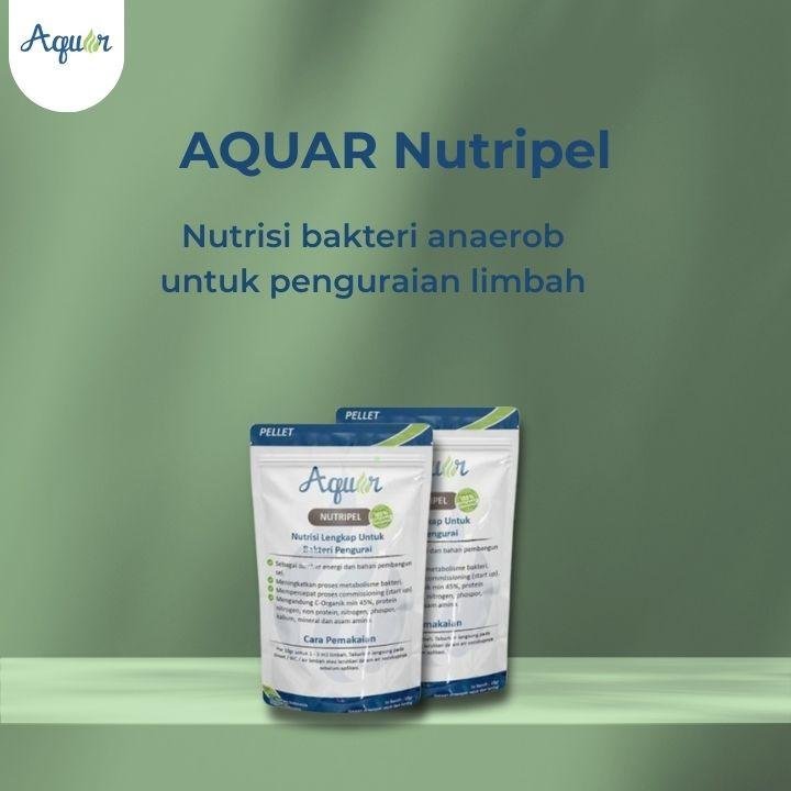 Pupuk Tanaman Hidroponik