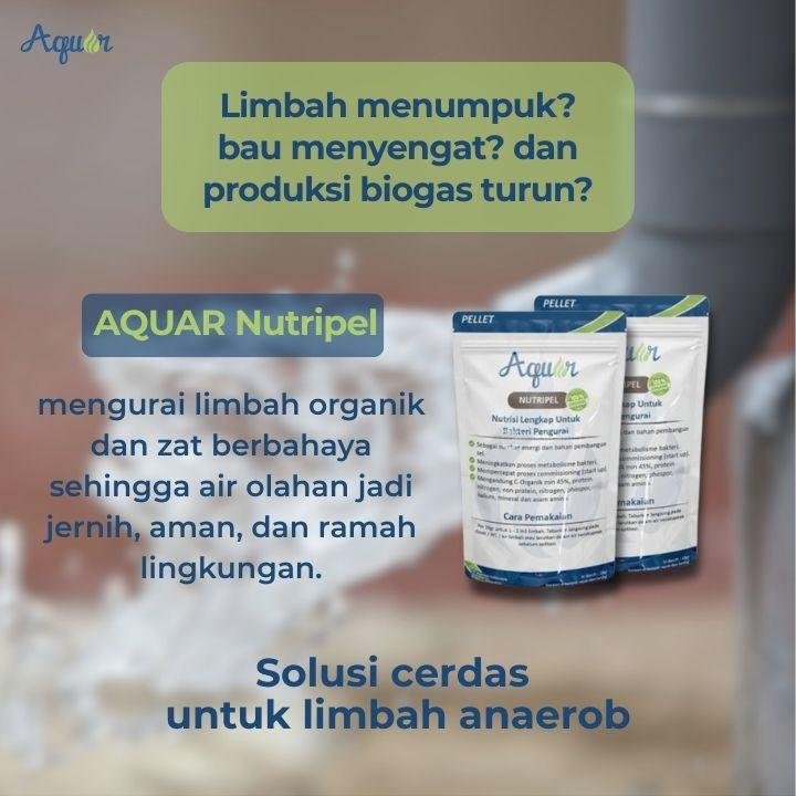 Pupuk Tanaman Organik
