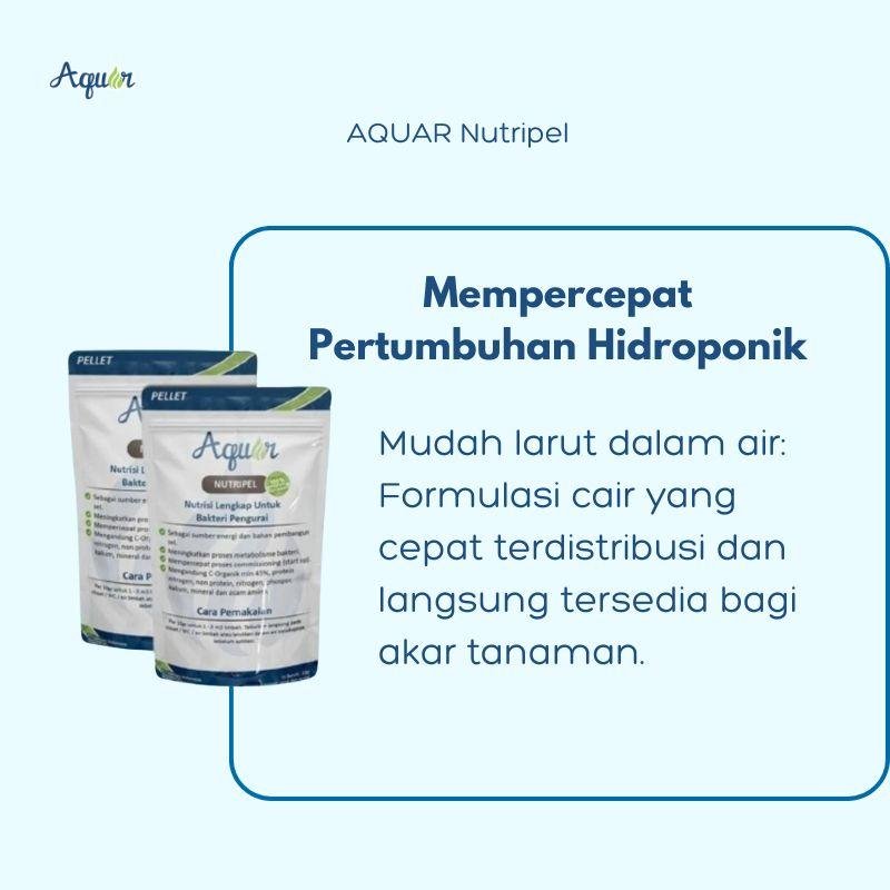 Solusi Mempercepat Pertumbuhan Hidroponik