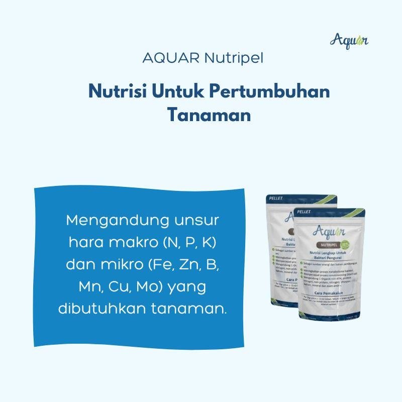 Solusi Nutrisi Untuk Pertumbuhan Tanaman