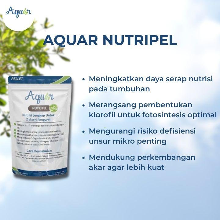 Nutrisi Untuk Tumbuhan