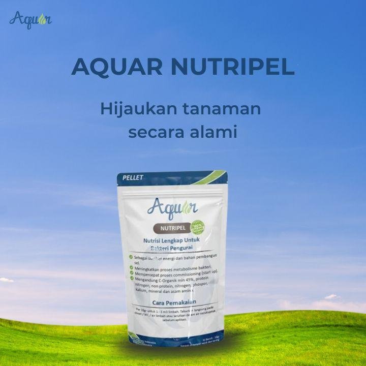 Nutrisi Untuk Tanaman