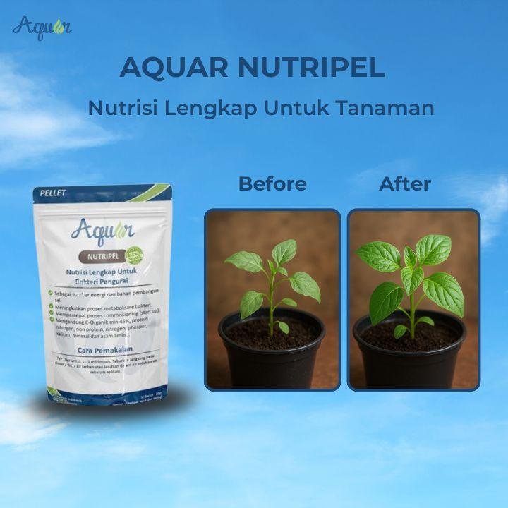 Nutrisi Tanaman Lengkap