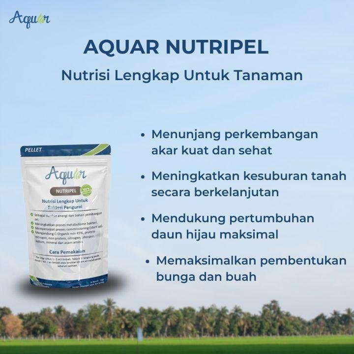 Nutrisi Lengkap Tanaman