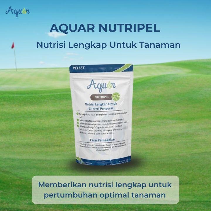 Nutrisi Lengkap Untuk Tanaman