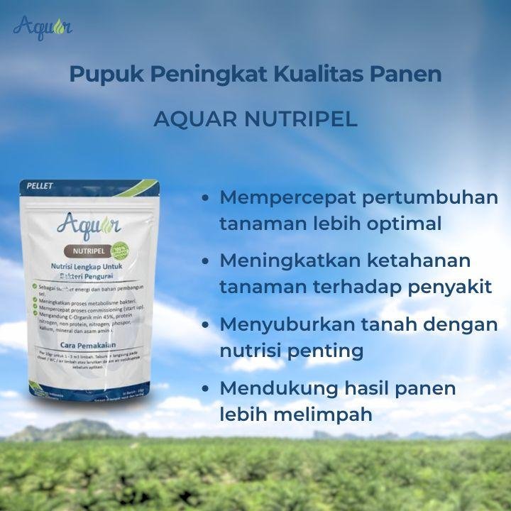Pupuk Peningkat Panen