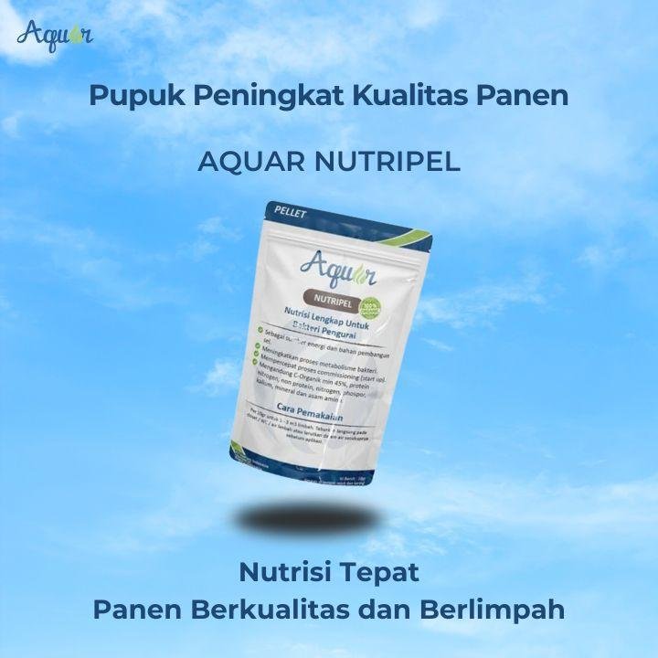 Pupuk Peningkat Panen Berkualitas