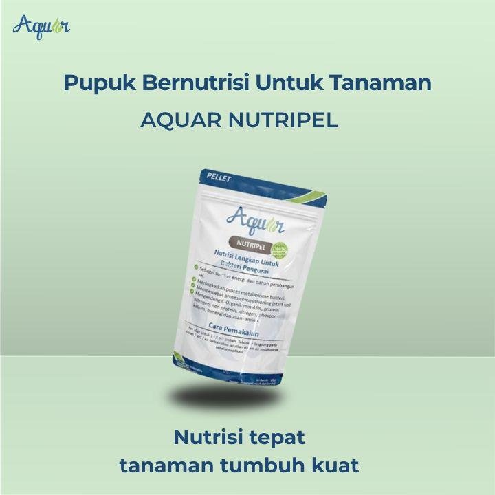 Pupuk Bernutrisi