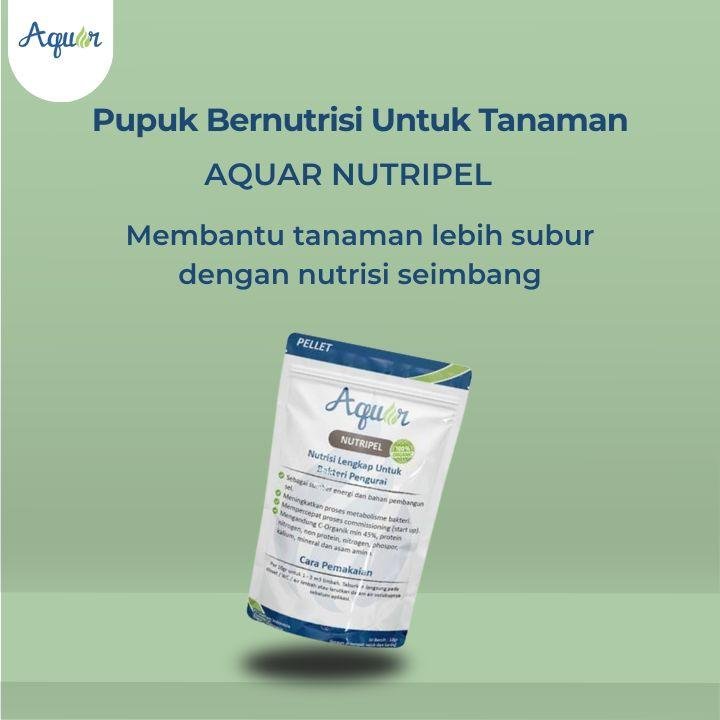 Pupuk Bernutrisi Untuk Tanaman