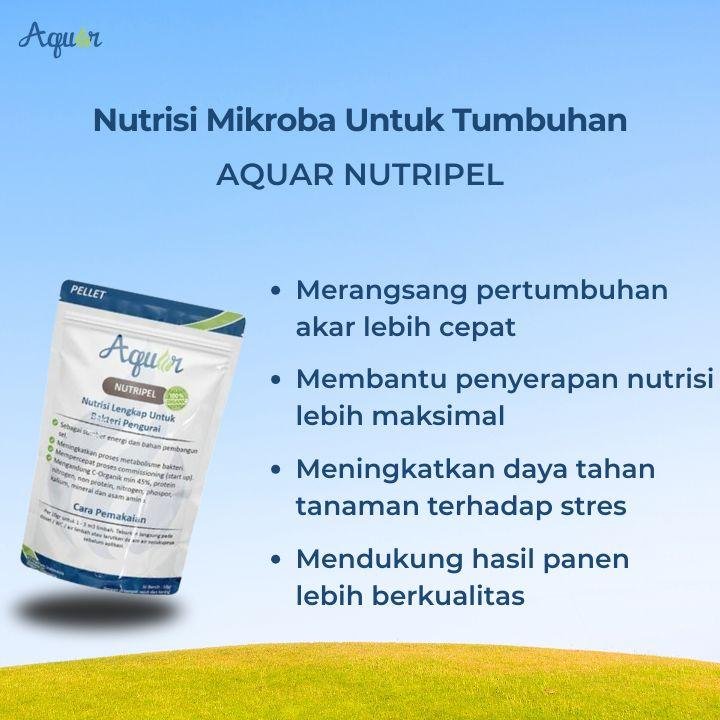 Nutrisi Mikro Untuk Tumbuhan