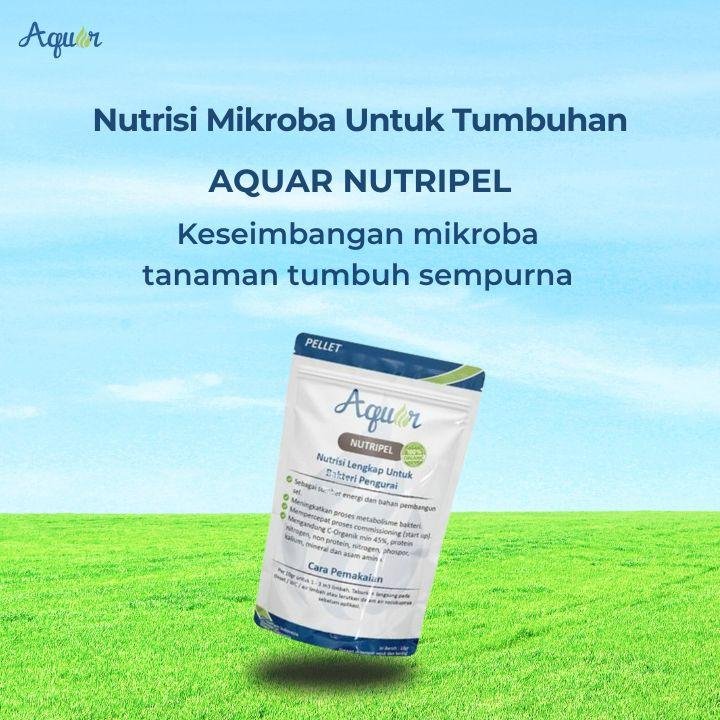 Nutrisi Mikroba Untuk Tumbuhan